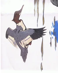 Merganser in Flight